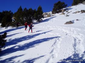 photo coins arrondis