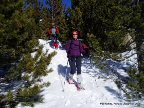 photo coins arrondis