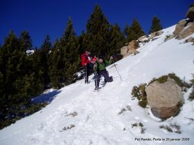 photo coins arrondis