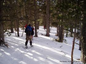 photo coins arrondis