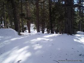 photo coins arrondis