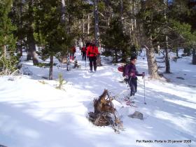 photo coins arrondis