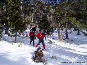 photo coins arrondis