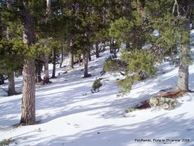 photo coins arrondis