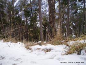 photo coins arrondis