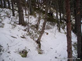 photo coins arrondis