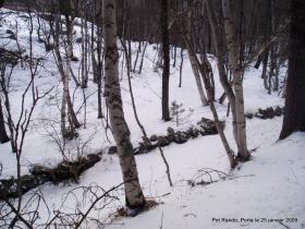 photo coins arrondis