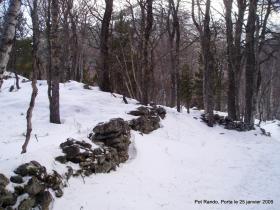 photo coins arrondis