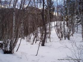 photo coins arrondis