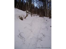 photo coins arrondis