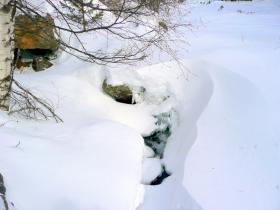 photo coins arrondis