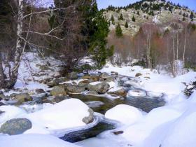 photo coins arrondis