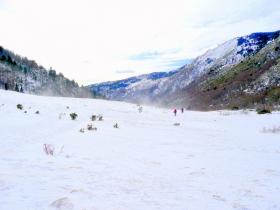 photo coins arrondis