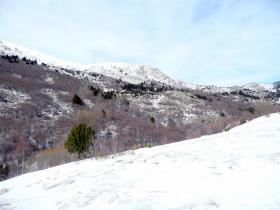 photo coins arrondis