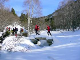 photo coins arrondis