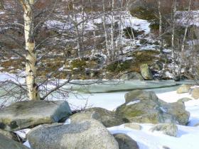 photo coins arrondis