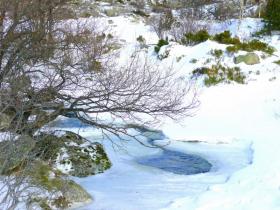 photo coins arrondis