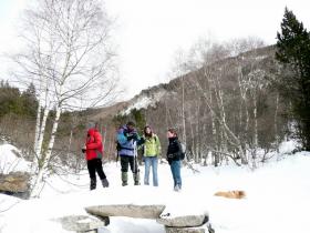 photo coins arrondis