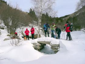 photo coins arrondis