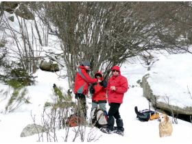 photo coins arrondis