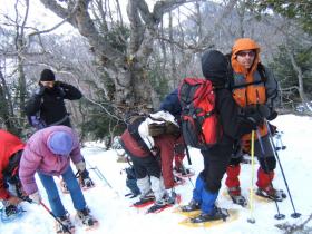 photo coins arrondis