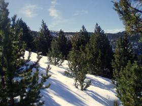 photo coins arrondis