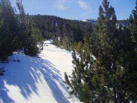 photo coins arrondis