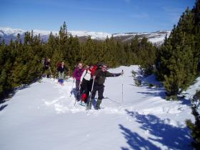 photo coins arrondis