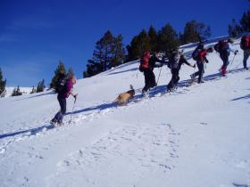 photo coins arrondis