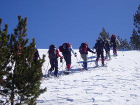 photo coins arrondis