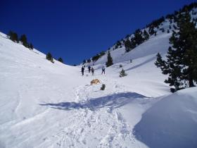 photo coins arrondis