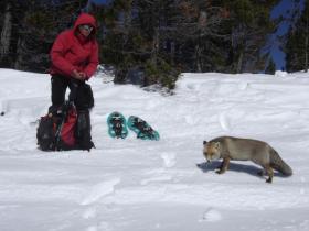 photo coins arrondis