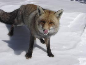 photo coins arrondis