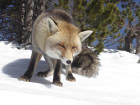 photo coins arrondis