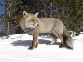 photo coins arrondis