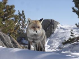 photo coins arrondis