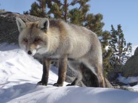 photo coins arrondis