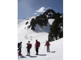 photo coins arrondis