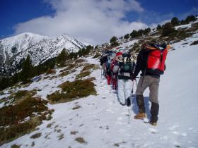 photo coins arrondis