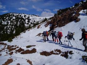 photo coins arrondis