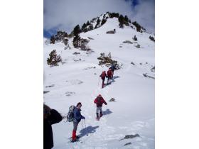 photo coins arrondis