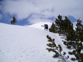 photo coins arrondis