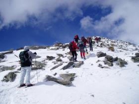 photo coins arrondis