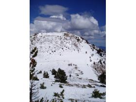 photo coins arrondis