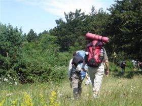 photo coins arrondis