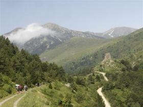 photo coins arrondis