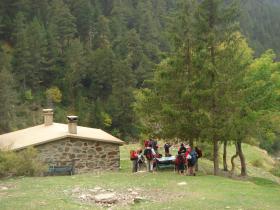 photo coins arrondis