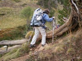 photo coins arrondis