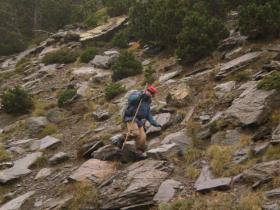 photo coins arrondis