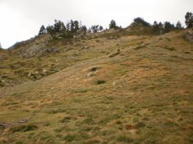 photo coins arrondis